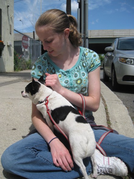 Pet Playground Volunteer