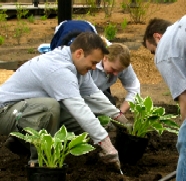 guys planting