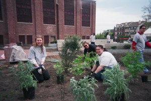 DAY 11 Newark Conservatory JC 04