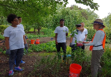 Who is Care of the&nbsp;Park?